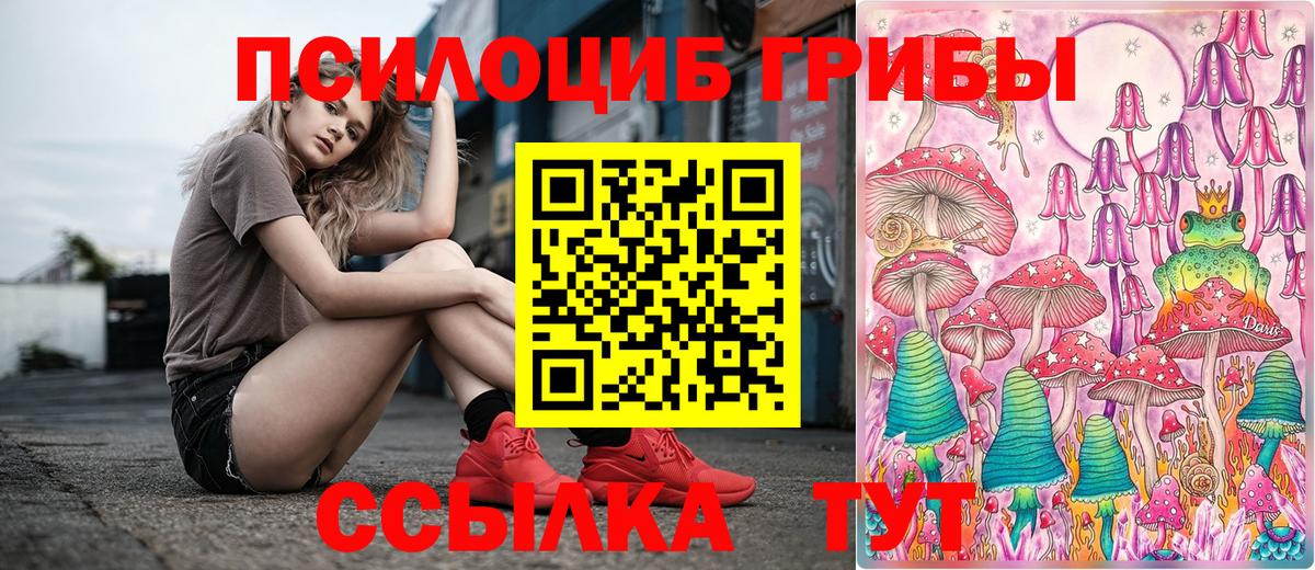 Псилоцибиновые грибы мухоморы Киров